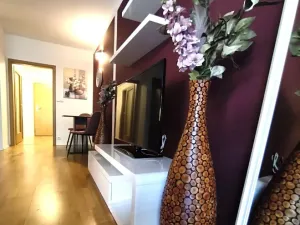 Pronájem bytu 1+kk, Praha - Žižkov, Kališnická, 39 m2