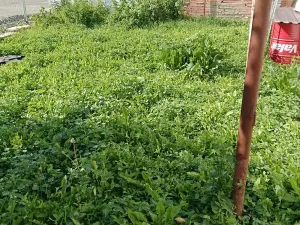Prodej rodinného domu, Brumovice, 288 m2