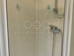 Pronájem bytu 1+1, Louny, Petra Obrovce, 35 m2