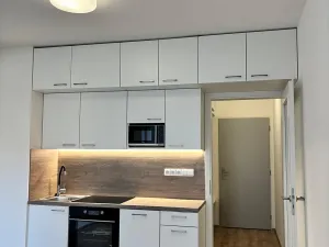 Pronájem bytu 1+kk, Brno, Spolková, 37 m2