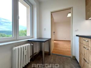 Pronájem bytu 1+1, Brno, Neumannova, 35 m2