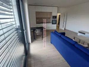 Pronájem bytu 1+kk, Brno, Auerswaldova, 46 m2