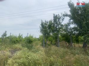 Prodej chaty, Milotice, Šidleny, 50 m2