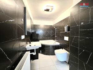 Prodej rodinného domu, Město Albrechtice - Opavice, 250 m2