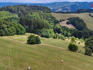 Prodej louky, Prlov, 14409 m2