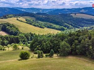 Prodej louky, Prlov, 14409 m2