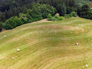 Prodej louky, Prlov, 14409 m2