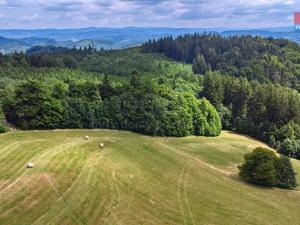 Prodej louky, Prlov, 14409 m2