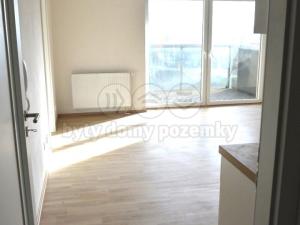 Pronájem bytu 2+kk, Plzeň - Bolevec, U Velkého rybníka, 51 m2
