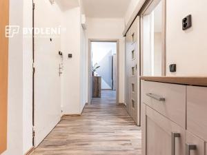 Prodej bytu 2+1, Teplice, Zrenjaninská, 51 m2