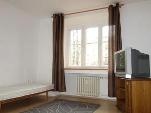 Pronájem bytu 1+1, Brno, Botanická, 39 m2