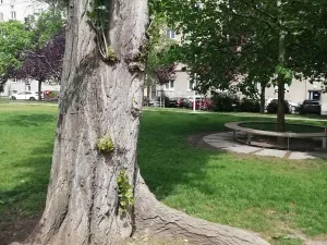 Pronájem bytu 1+1, Brno, Botanická, 39 m2