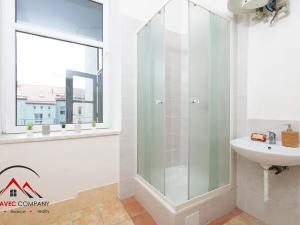 Pronájem bytu 1+1, Ostrava, Mariánskohorská, 31 m2