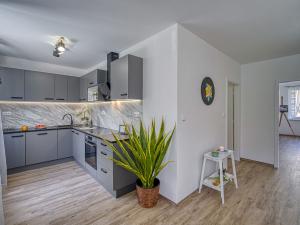 Pronájem bytu 2+kk, Most, Zdeňka Štěpánka, 54 m2