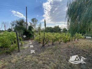 Prodej rodinného domu, Bezvoditsa, Bulharsko, 170 m2