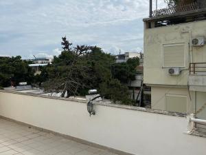 Prodej bytu 2+kk, Golem, Golem-Durres, Albánie, 155 m2