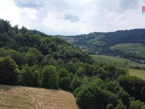 Prodej lesa, Palkovice, 164841 m2