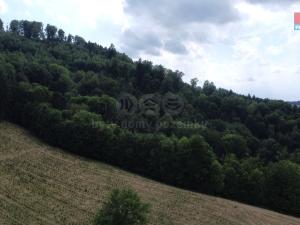 Prodej lesa, Palkovice, 164841 m2