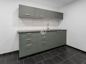 Pronájem kanceláře, Praha - Libeň, Podvinný mlýn, 3500 m2
