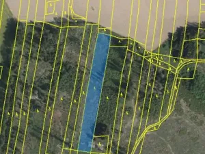 Prodej lesa, Kámen, 20509 m2