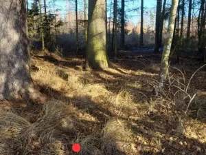 Prodej lesa, Kámen, 20509 m2