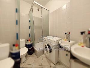 Pronájem bytu 1+kk, České Budějovice, Riegrova, 25 m2
