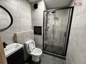 Pronájem bytu 1+1, Ústí nad Labem - Severní Terasa, Jizerská, 36 m2