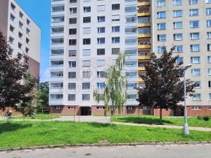 Prodej bytu 3+1, Hradec Králové - Nový Hradec Králové, třída Edvarda Beneše, 92 m2