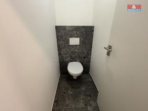 Pronájem kanceláře, Ostrava - Přívoz, Trocnovská, 240 m2