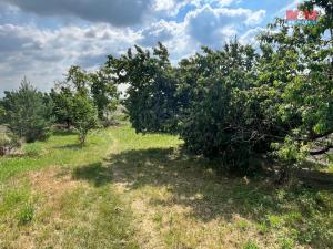 Prodej rodinného domu, Chožov, 130 m2