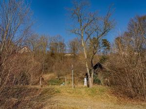 Prodej pozemku pro bydlení, Vysoké Mýto, Vinice, 1447 m2