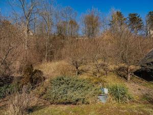 Prodej pozemku pro bydlení, Vysoké Mýto, Vinice, 1447 m2