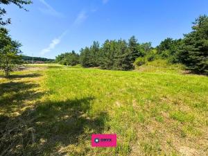 Prodej pozemku pro bydlení, Olšany, 2035 m2