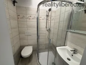 Pronájem bytu 2+1, Liberec, Vrchlického, 55 m2