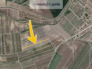 Prodej pole, Velké Pavlovice, 3452 m2