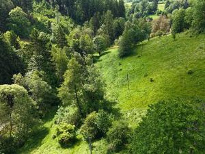 Prodej pozemku pro bydlení, Čermná, 895 m2