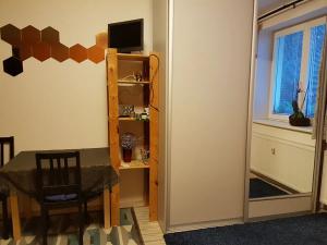 Pronájem bytu 1+1, Brno, Štěpánská, 33 m2