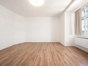 Pronájem bytu 1+1, Brno, Olomoucká, 45 m2