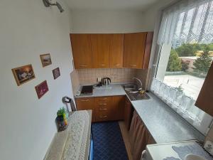 Pronájem bytu 1+kk, Praha - Chodov, Bachova, 30 m2