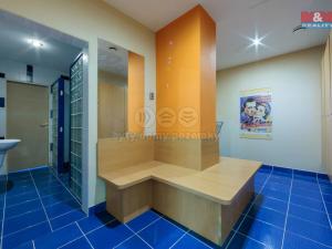 Prodej komerční nemovitosti, Karlovy Vary - Stará Role, Truhlářská, 464 m2