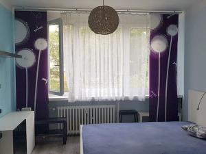 Pronájem bytu 1+kk, Praha - Braník, Nad lesním divadlem, 29 m2