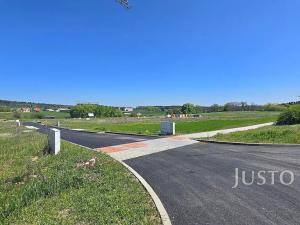 Prodej pozemku pro bydlení, Čížová, 1023 m2