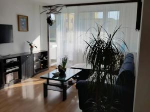 Pronájem bytu 3+1, Praha - Chodov, Babákova, 84 m2
