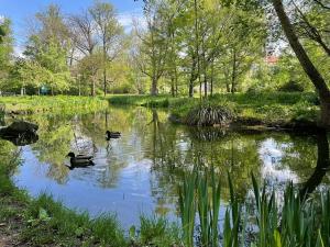 Pronájem bytu 1+kk, Brno, Lidická, 37 m2