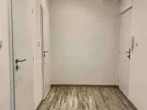 Pronájem bytu 1+kk, Ostrava, Hasičská, 40 m2