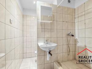 Pronájem bytu 1+kk, Frýdek-Místek, Novodvorská, 32 m2