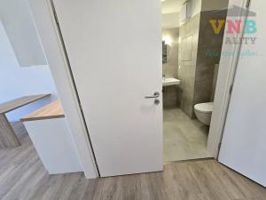 Pronájem bytu 1+kk, Olomouc, Aloise Rašína, 30 m2