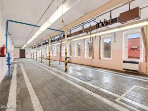 Pronájem komerční nemovitosti, Děčín, Rudolfova, 5199 m2