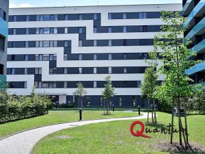 Pronájem bytu 2+kk, Praha - Holešovice, Argentinská, 50 m2