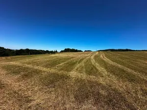 Prodej louky, Nový Jičín, 10482 m2